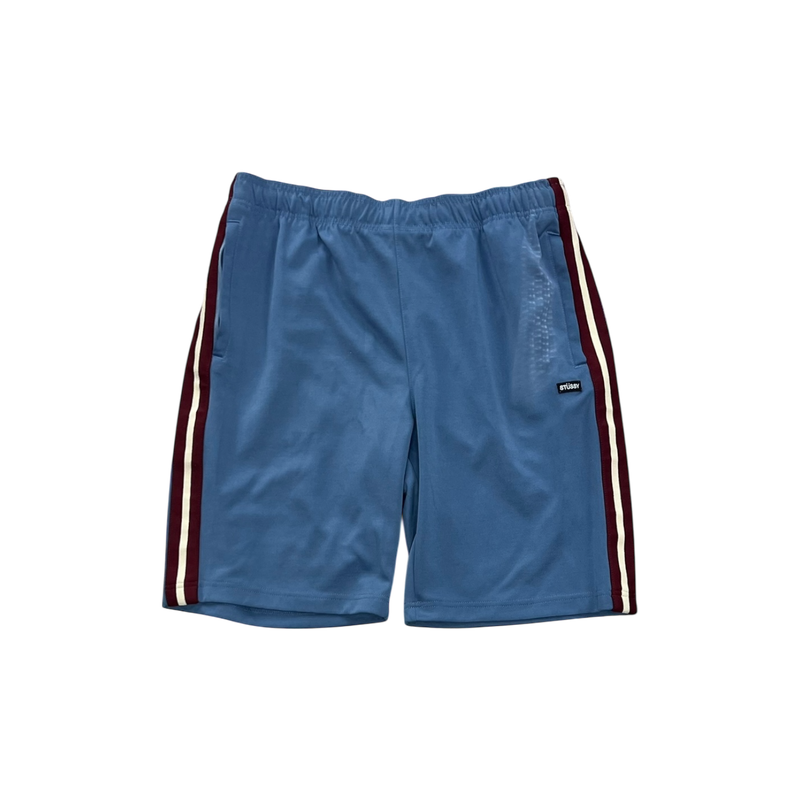 Blue Stussy Shorts