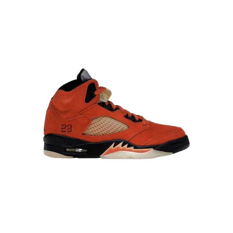 AJ5 Dunk on Mars PO