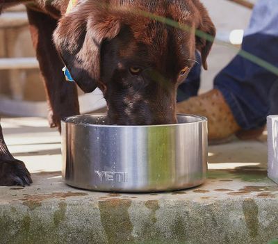 Yeti Boomer Dog Bowls