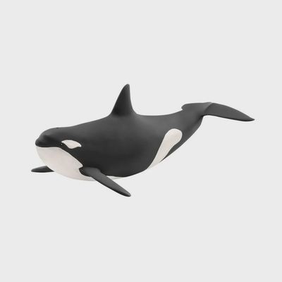 14807 Killer Whale