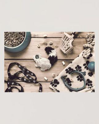 Pet Necessities