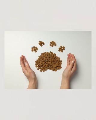 Pet Food