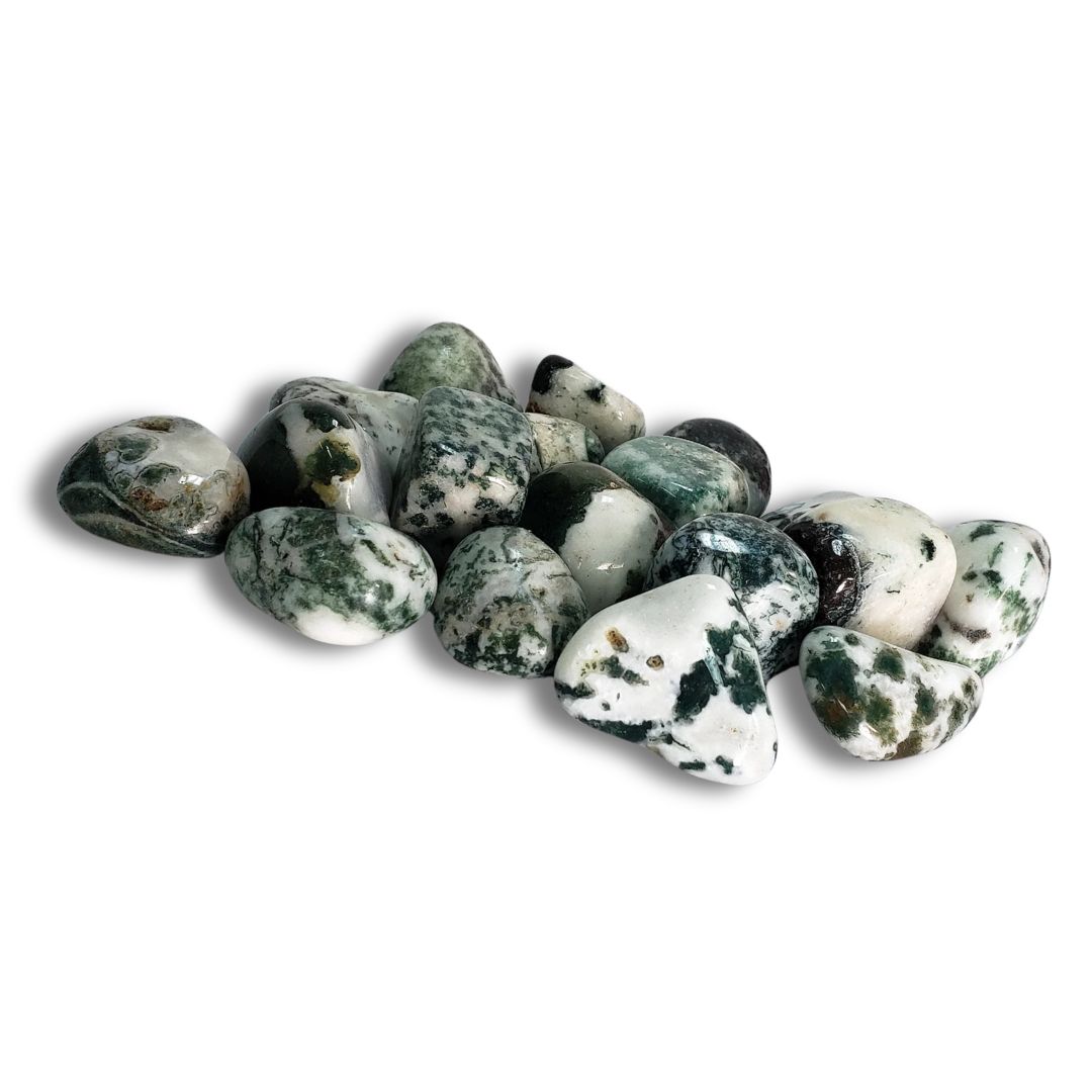 Tree Agate Polished Stones