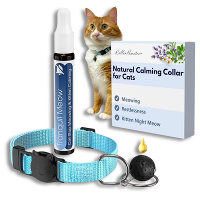Natural Lava Rock Calming Cat Collar