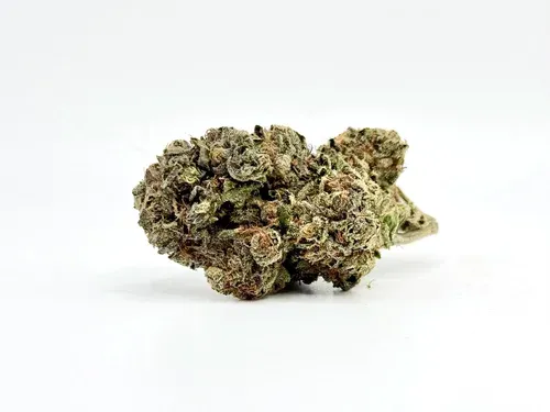 THCA - Exotic Flower - Italian Ice