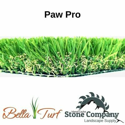 Paw Pro Synthetic Lawn - 86oz - 13' wide (Sold by the foot) $4.99/sq.ft