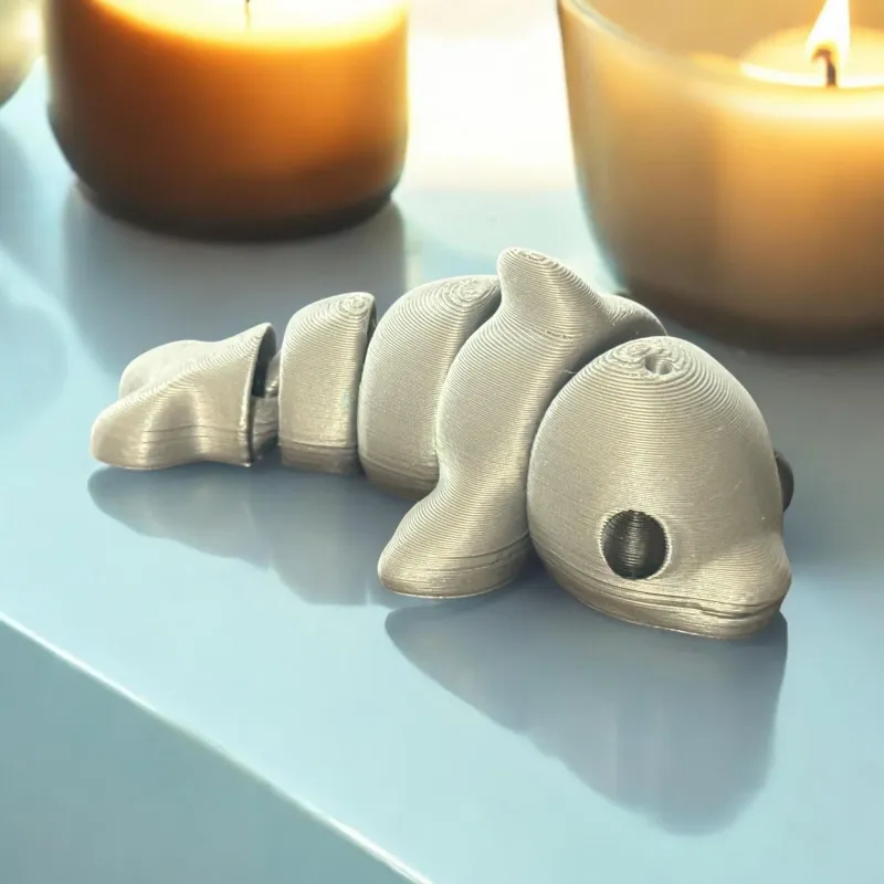 Baby Dolphin