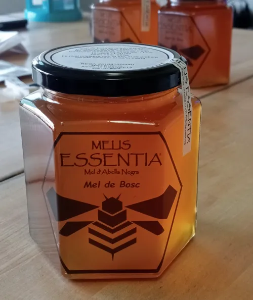 Miel de bosque 500grs -Miel Natural y Artesanal