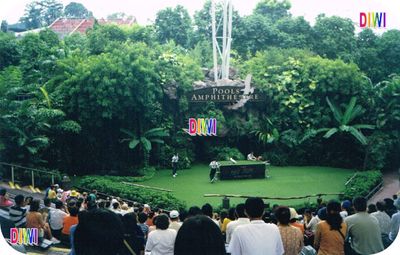 Singapur Buch 88 Seiten DIN A 4