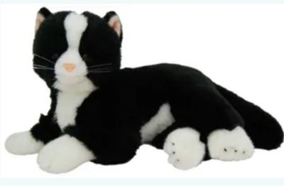 Cats