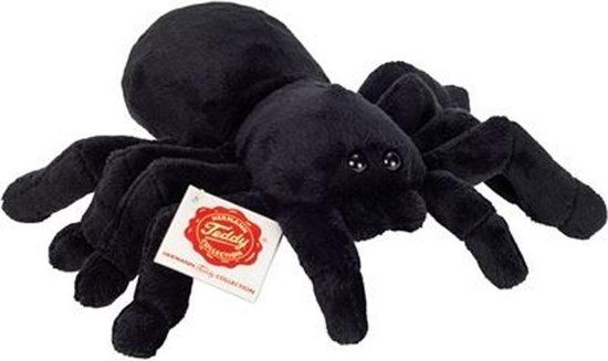 Spinne