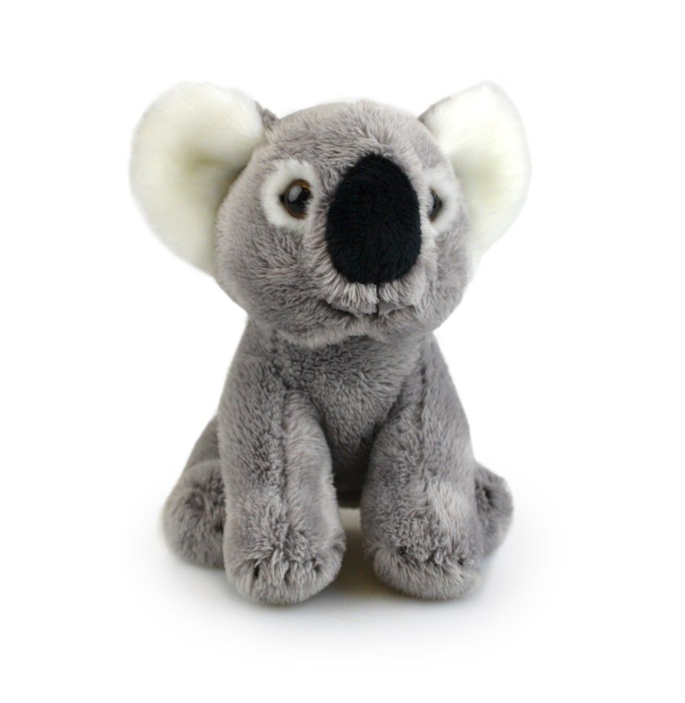 Lil Friends Koala