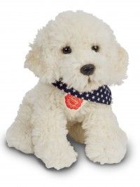 Noodles Labradoodle