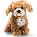 Curlie Cockapoo