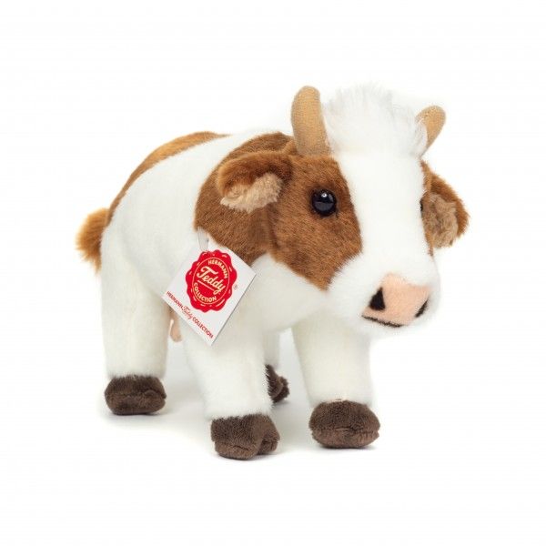 Daisy Cow