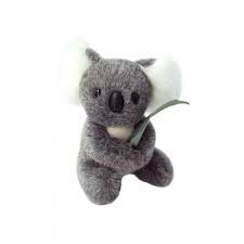 Cuddly Koala