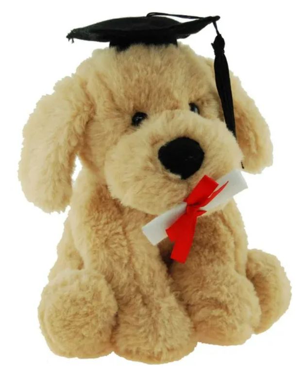 Buddy Graduate