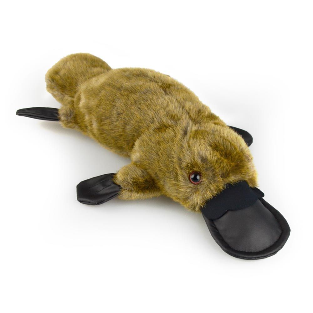Patty Platypus