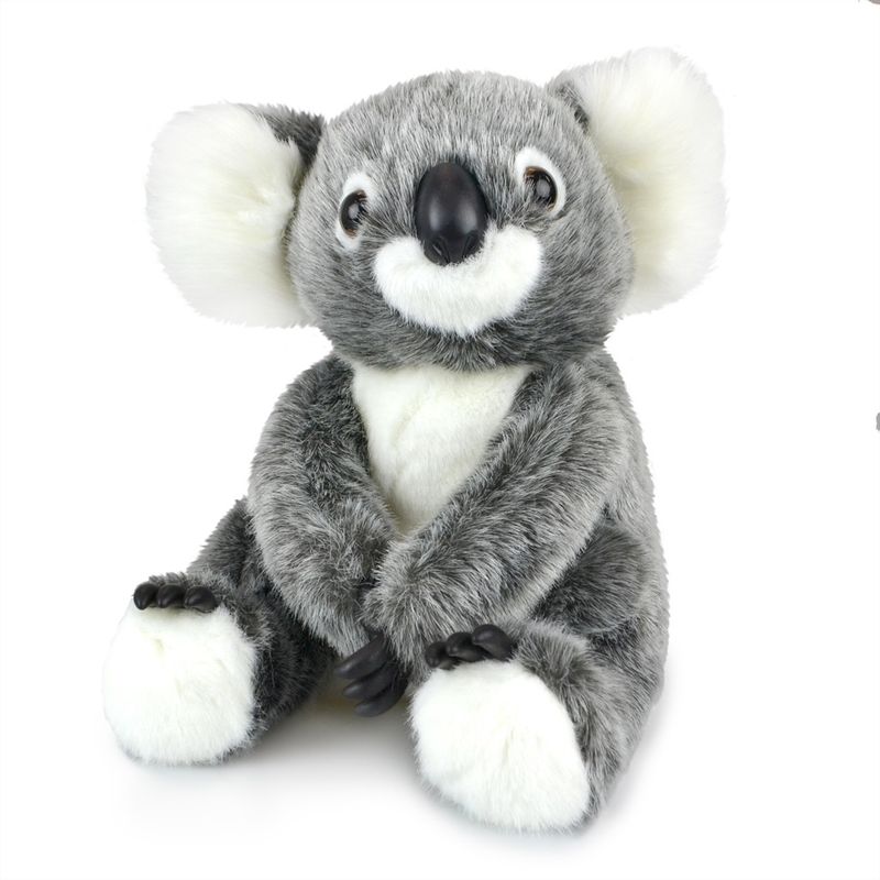 Aussie Koala