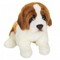 Toby
