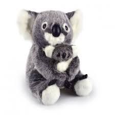 Alice Koala
