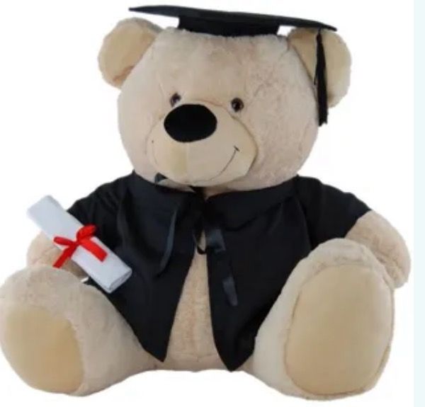Triumph Graduate
