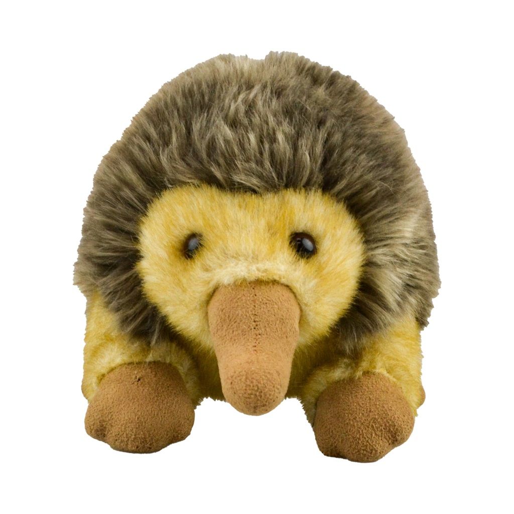 Ella Echidna