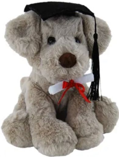 Rocky Graduate