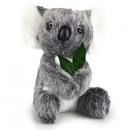 Lilly Koala