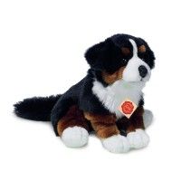 Bernard Dog