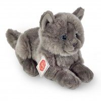 Carter