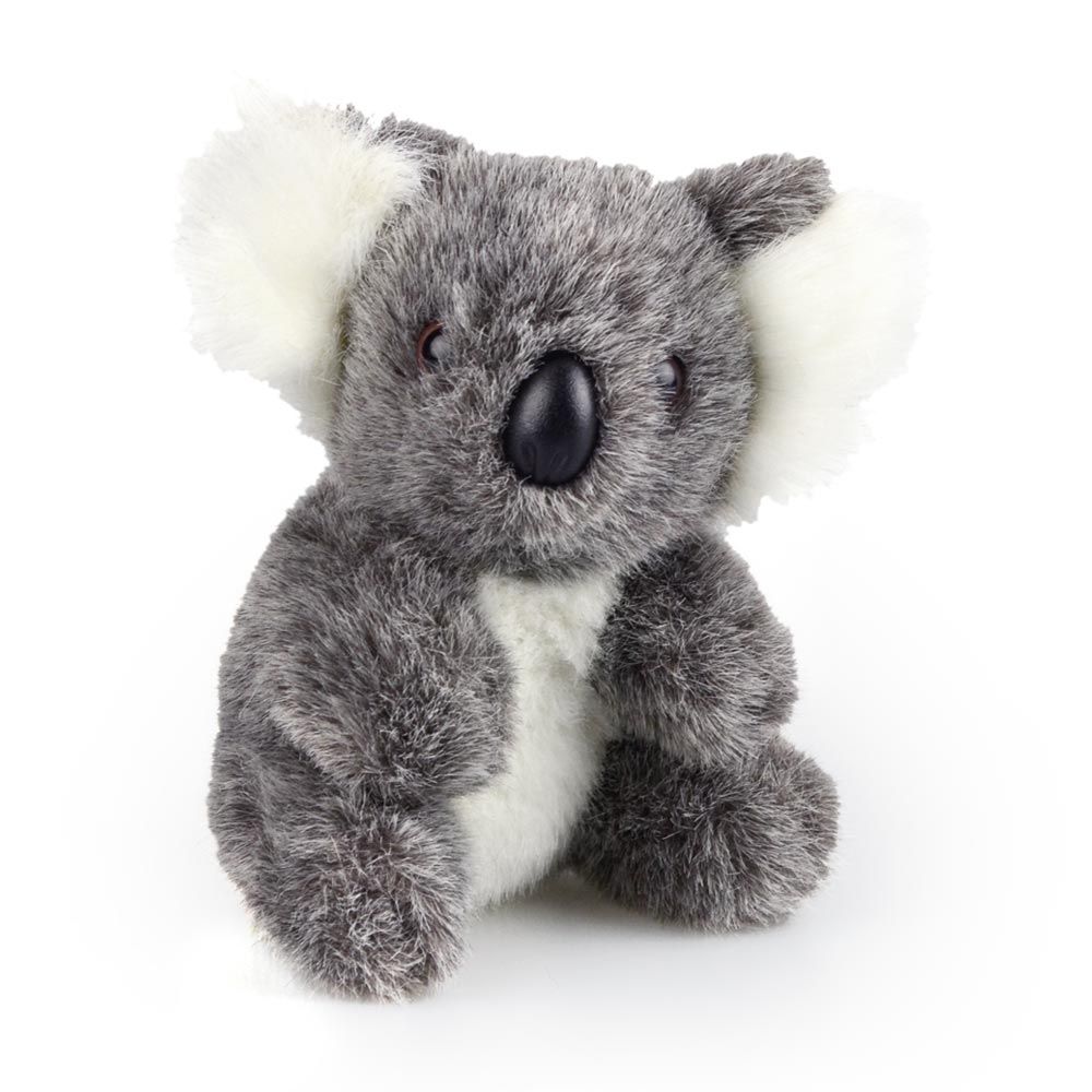 John Koala
