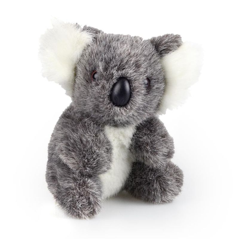 John Koala