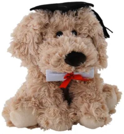 Max Graduate