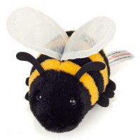 Buzz