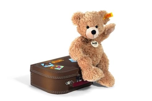 Fynn in Brown Suitcase
