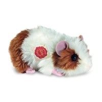 Ginny Guinea Pig