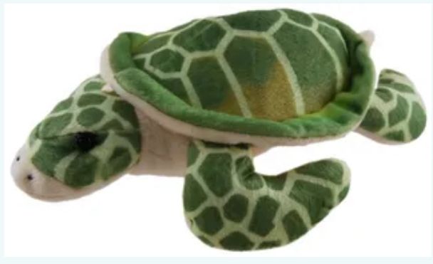 Splash Sea Turtle