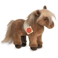 Archie Shetland Pony