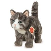 Tabitha