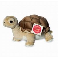 Slow Coach