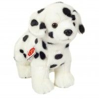 Pongo Dalmation