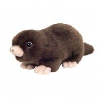 Stevie Mole