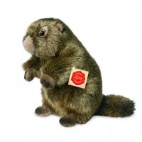 Monty Marmot