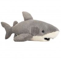 Henri Shark
