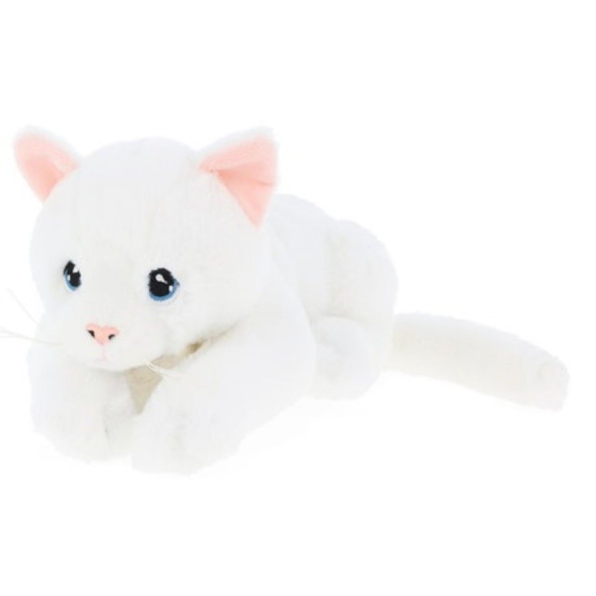 Snowball White Kitten