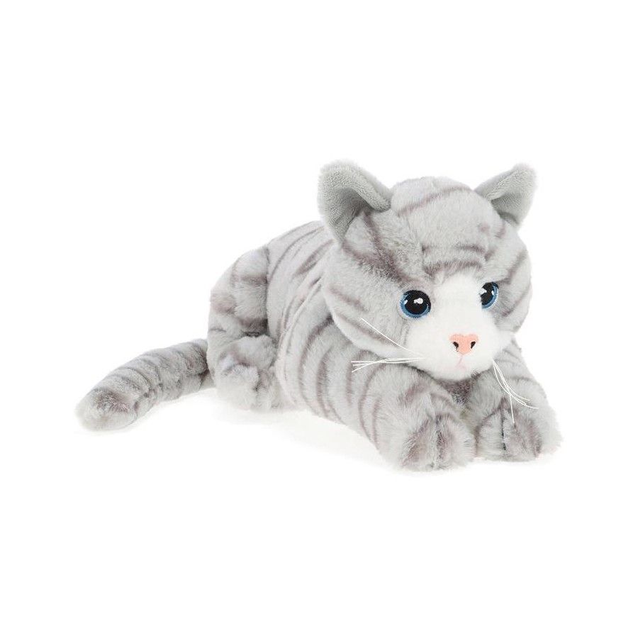 Gus Grey Tabby Kitten