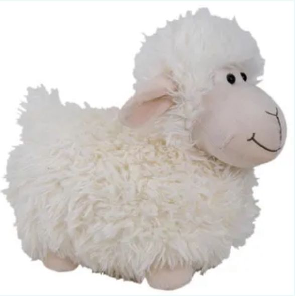 Shane Sheep
