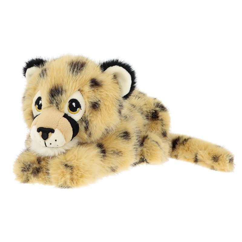 Chad Cheetah