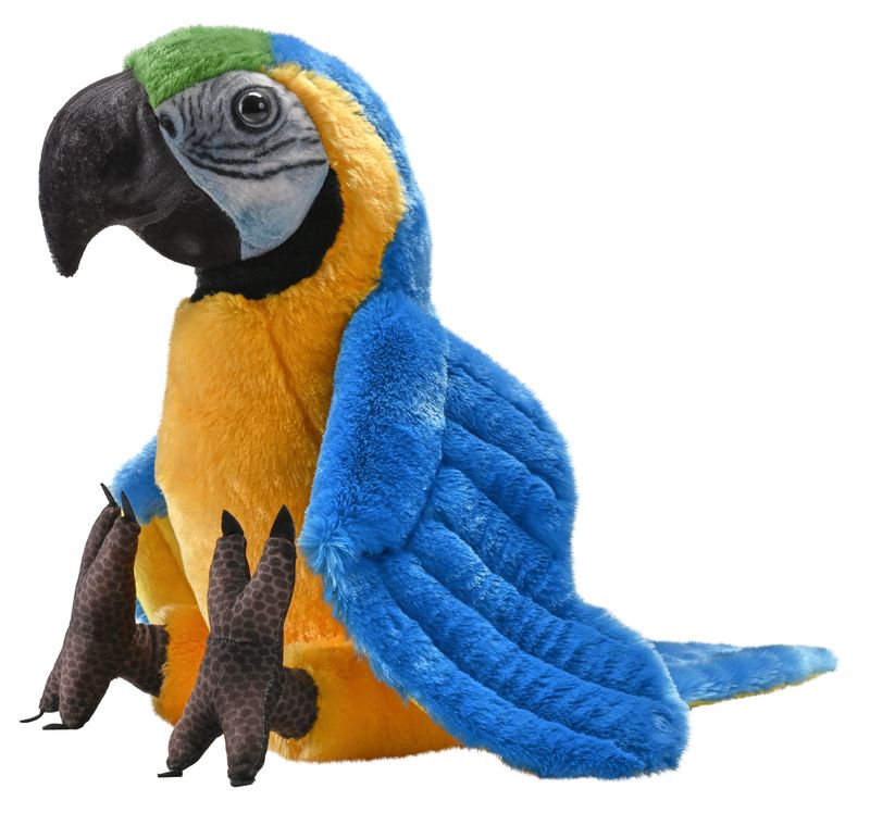 Ara Macaw
